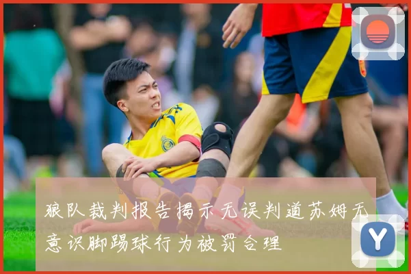 狼队裁判报告揭示无误判道苏姆无意识脚踢球行为被罚合理